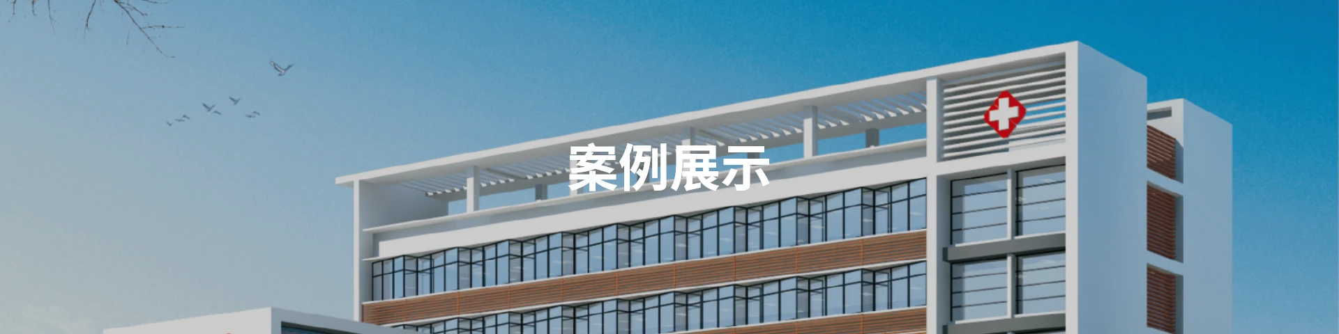 案例展示